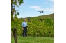Parrot Bluegrass Fields Agricultural Quadcopter
